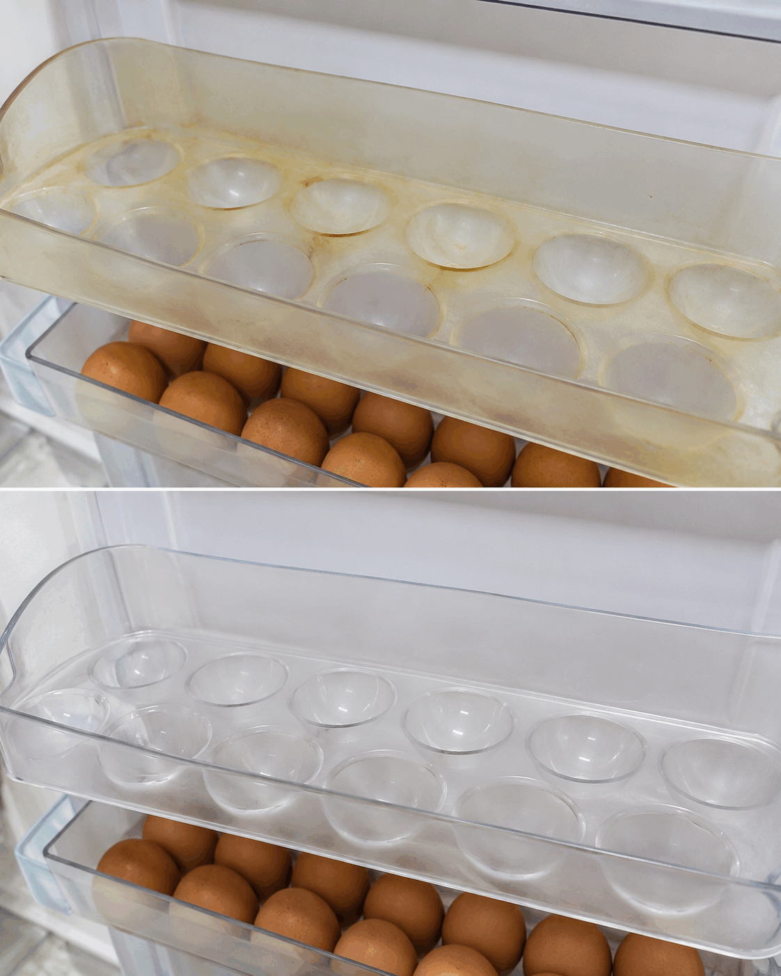 El método para recuperar una bandeja para huevos del frigorífico cuando se vuelve opaca y aparecen manchas amarillentas